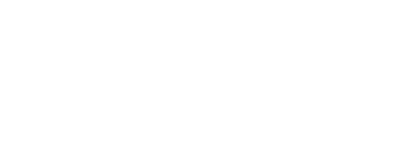 Perro Bravo